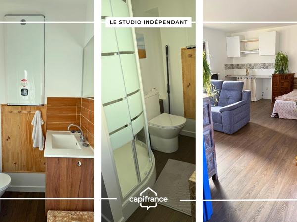 Maison comprenant : un loft, un studio indépendant et un local professionnel