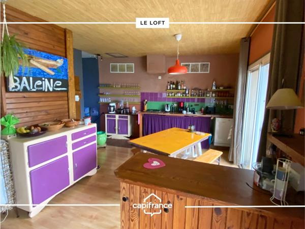 Maison comprenant : un loft, un studio indépendant et un local professionnel