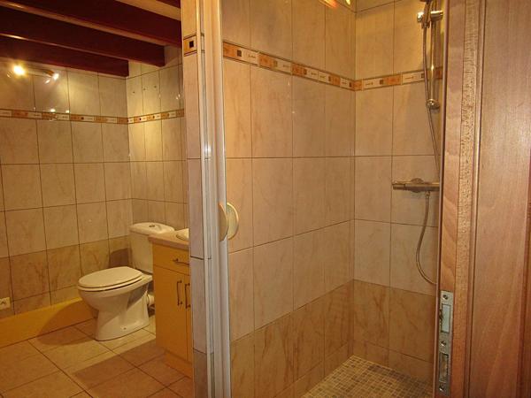 Vente                                                      Immeuble
                        
                     7 pièces                      178 m2                     à Raon-l'Étape