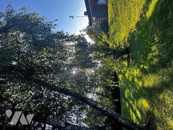 Ensemble atypique composé d'une maison d'architècte, d'une maison indépendante et d'un terrrain.