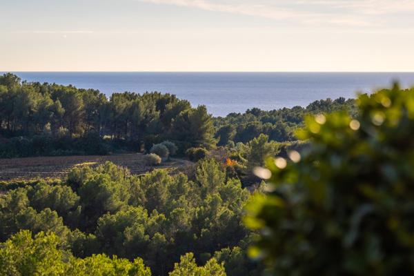 Vente Maison de luxe Saint-Cyr-sur-Mer 5 Pièces 150 m²