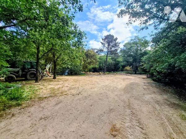 Terrain constructible 1300 m² au calme en fond d’impasse, cadre idéal pour votre projet