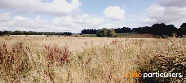 Vente Demeure140 m² - 7 Pièces - LANGUIDIC (56440)