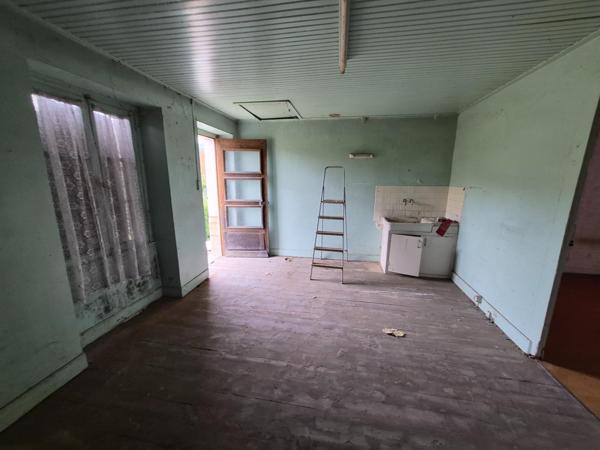 MAISON A RESTAURER + Jardin + Hangar + Caves