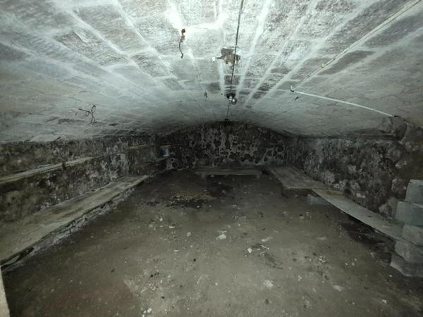 MAISON A RESTAURER + Jardin + Hangar + Caves