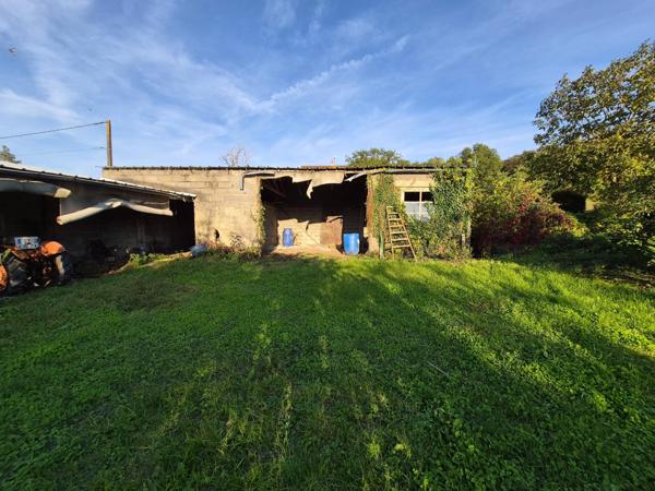 MAISON A RESTAURER + Jardin + Hangar + Caves