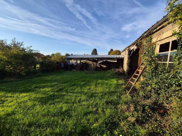 MAISON A RESTAURER + Jardin + Hangar + Caves