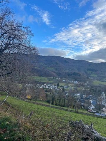 Grange Thiezac 1 pièce(s) 219.4 m2 , Thiezac