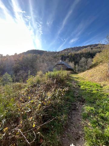Grange Thiezac 1 pièce(s) 219.4 m2 , Thiezac