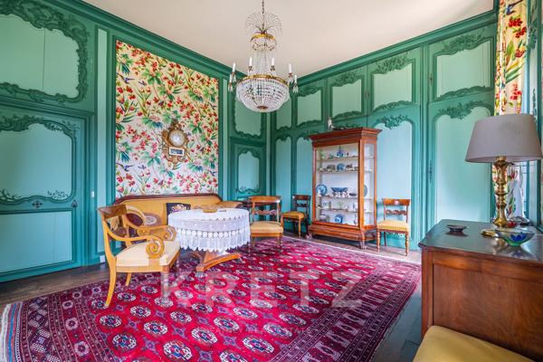 Haut Anjou - Château XVIIe classé MH avec dépendances, parc 18ha (5ha de plus en option) rivière, éc