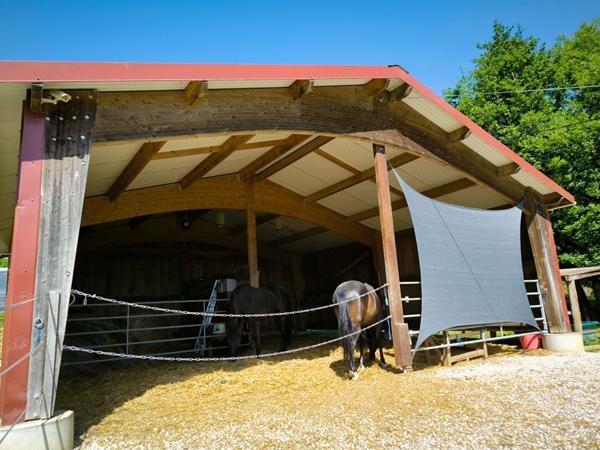Ensemble immobilier de caractère dans un cadre bucolique Varilhes