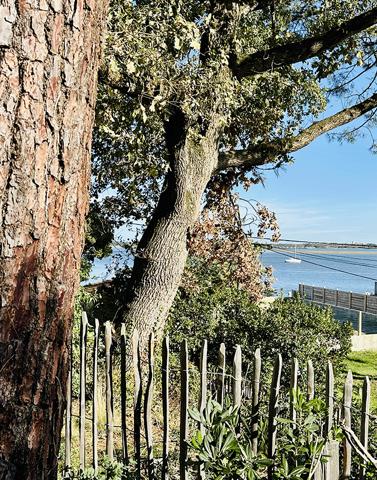 Cap Ferret, 2ème ligne, accès direct à la plage, jolie villa d’architecte de 120 m2 habitable, en prise directe avec le bassin, piscine et parking privé