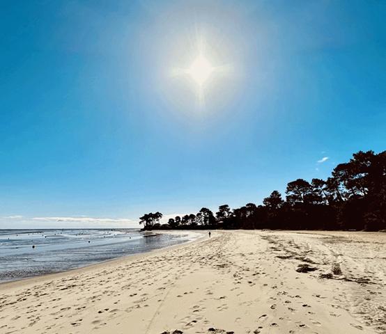 Cap Ferret, 2ème ligne, accès direct à la plage, jolie villa d’architecte de 120 m2 habitable, en prise directe avec le bassin, piscine et parking privé