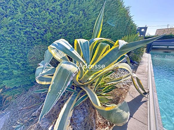 Exclusivité l'Adresse Immobilier - Plaisance-du-touch - Superbe Maison T5 126 m2 piscine pergola.