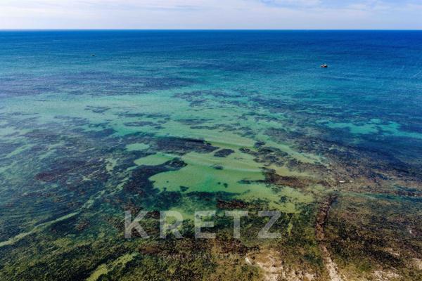Propriété d’exception avec 220m² de serre tropicale au cœur de l’île d’Oléron