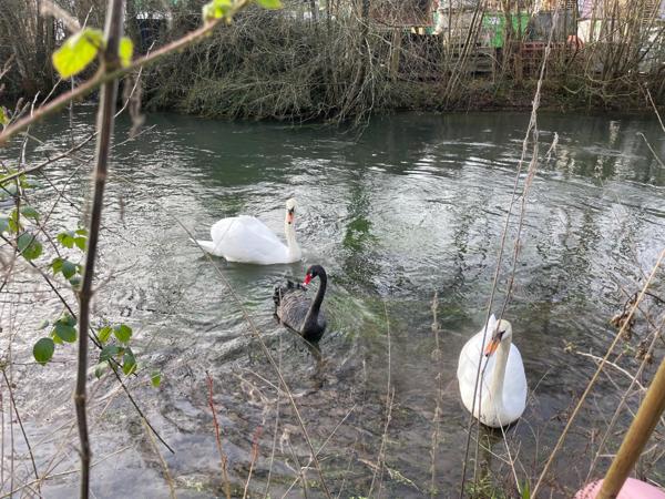 MAGNIFIQUE PROPRIETE AUX PORTES DE ROUEN