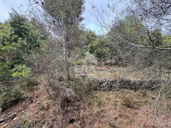 Domaine forestier Tourettes-sur-loup