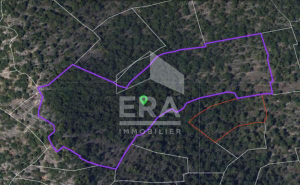 Domaine forestier Tourettes-sur-loup