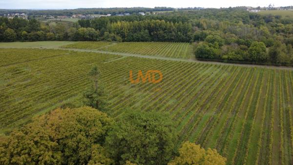 Domaine viticole en Borderies