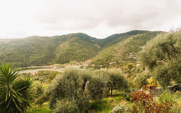 Maison à vendre    4 pièces •  Drap