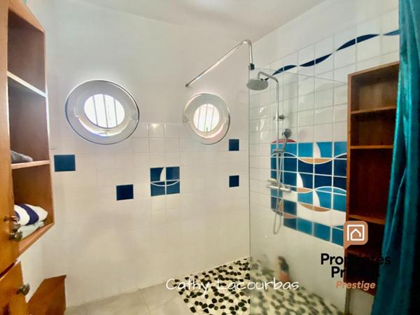 Villa d'architecte , piscine et jardin paysager - Baie Mahault