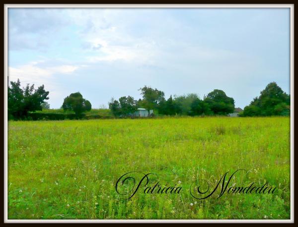 A SAISIR terrain plat de 1888m² exposé Sud