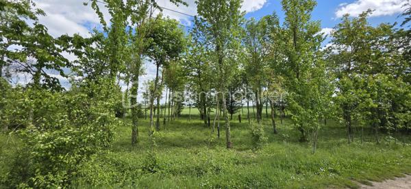 A vendre terrain de loisirs bien entretenu situé en zone agricole, d'une superficie de 1290 m². Le terrain est non constructible. Il est boisé, avec des arbres fruitiers (cerisiers) et d'autres essences. Cadre verdoyant situé au calme, secteur recherché. Avec un accès véhicule facile, il est idéal pour le jardinage, la détente ou profiter de la nature . Contactez moi pour plus de détails.