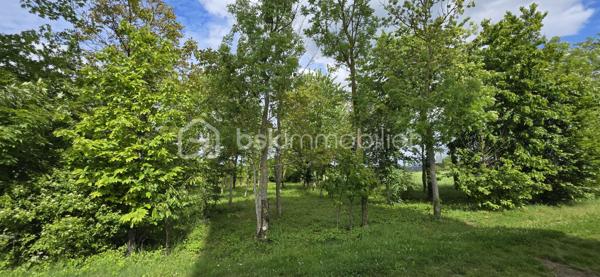 A vendre terrain de loisirs bien entretenu situé en zone agricole, d'une superficie de 1290 m². Le terrain est non constructible. Il est boisé, avec des arbres fruitiers (cerisiers) et d'autres essences. Cadre verdoyant situé au calme, secteur recherché. Avec un accès véhicule facile, il est idéal pour le jardinage, la détente ou profiter de la nature . Contactez moi pour plus de détails.