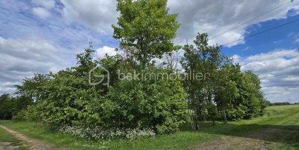 A vendre terrain de loisirs bien entretenu situé en zone agricole, d'une superficie de 1290 m². Le terrain est non constructible. Il est boisé, avec des arbres fruitiers (cerisiers) et d'autres essences. Cadre verdoyant situé au calme, secteur recherché. Avec un accès véhicule facile, il est idéal pour le jardinage, la détente ou profiter de la nature . Contactez moi pour plus de détails.