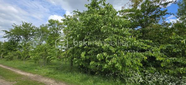 A vendre terrain de loisirs bien entretenu situé en zone agricole, d'une superficie de 1290 m². Le terrain est non constructible. Il est boisé, avec des arbres fruitiers (cerisiers) et d'autres essences. Cadre verdoyant situé au calme, secteur recherché. Avec un accès véhicule facile, il est idéal pour le jardinage, la détente ou profiter de la nature . Contactez moi pour plus de détails.