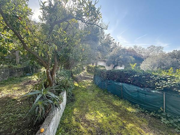 Maison  en vente - Corse - 20