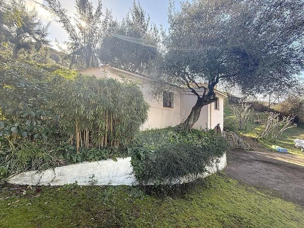 Maison  en vente - Corse - 20