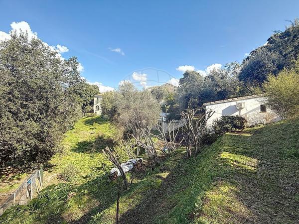 Maison  en vente - Corse - 20