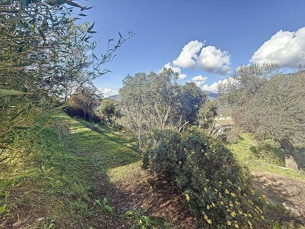 Maison  en vente - Corse - 20