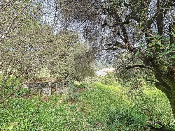 Maison  en vente - Corse - 20