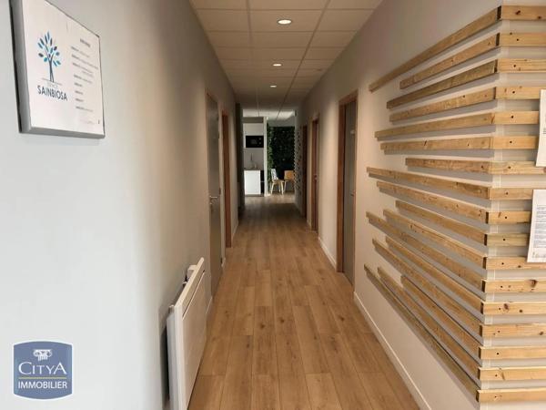 Location local professionnel