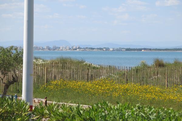 P2 - RDJ VUE MER Le Grau-du-Roi (30240)