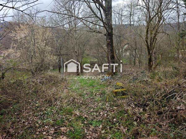 Terrain à vendre – Cadre naturel privilégié avec potentiel de construction