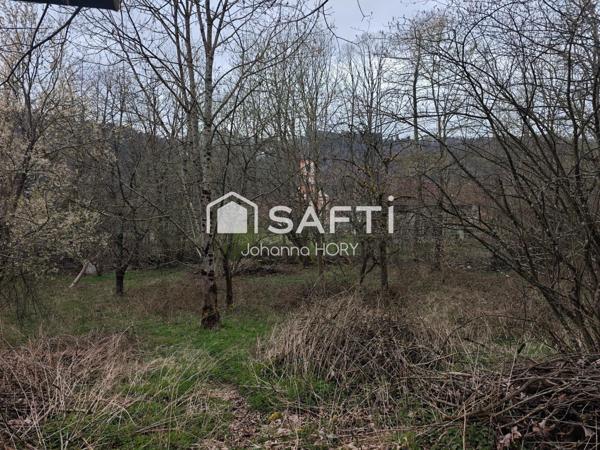 Terrain à vendre – Cadre naturel privilégié avec potentiel de construction
