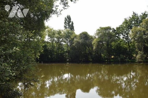 MARTIGNE SUR MAYENNE- En campagne, superbe étang poissonneux d'environ 6.500m² sur 1.65 hectare...