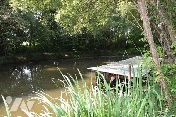 MARTIGNE SUR MAYENNE- En campagne, superbe étang poissonneux d'environ 6.500m² sur 1.65 hectare...