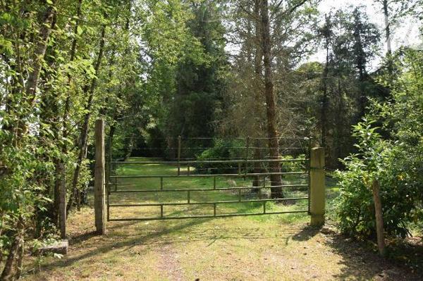 MARTIGNE SUR MAYENNE- En campagne, superbe étang poissonneux d'environ 6.500m² sur 1.65 hectare...