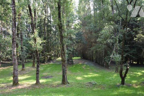 MARTIGNE SUR MAYENNE- En campagne, superbe étang poissonneux d'environ 6.500m² sur 1.65 hectare...