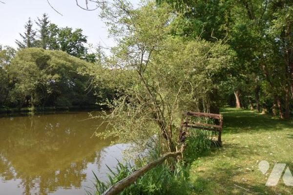 MARTIGNE SUR MAYENNE- En campagne, superbe étang poissonneux d'environ 6.500m² sur 1.65 hectare...