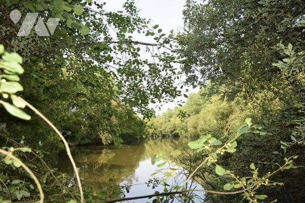 MARTIGNE SUR MAYENNE- En campagne, superbe étang poissonneux d'environ 6.500m² sur 1.65 hectare...