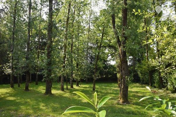 MARTIGNE SUR MAYENNE- En campagne, superbe étang poissonneux d'environ 6.500m² sur 1.65 hectare...