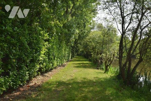 MARTIGNE SUR MAYENNE- En campagne, superbe étang poissonneux d'environ 6.500m² sur 1.65 hectare...