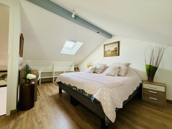 Cornier (74800) Propriété chambres d'Hôtes + gîte indépendant