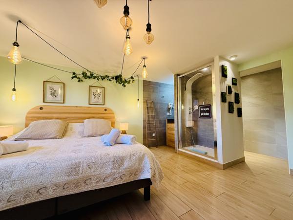 Cornier (74800) Propriété chambres d'Hôtes + gîte indépendant