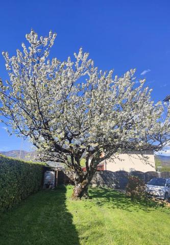 SCIONZIER – Maison de plain-pied de 135 m² avec jardin et terrain de 1228 m²